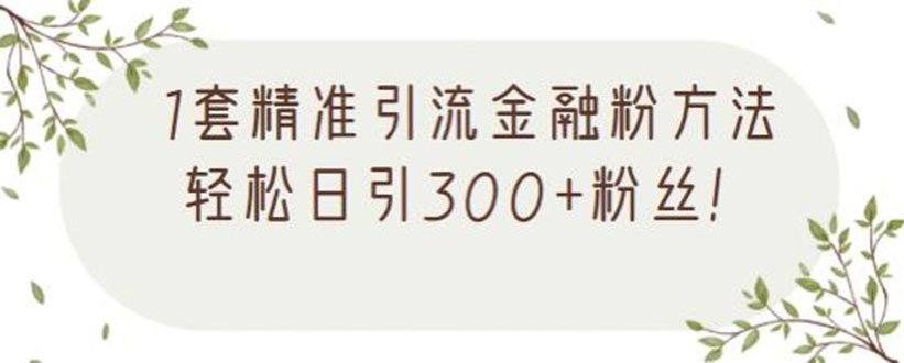 1套精准引流金融粉方法，轻松日引300+粉丝【视频课程】-56课堂