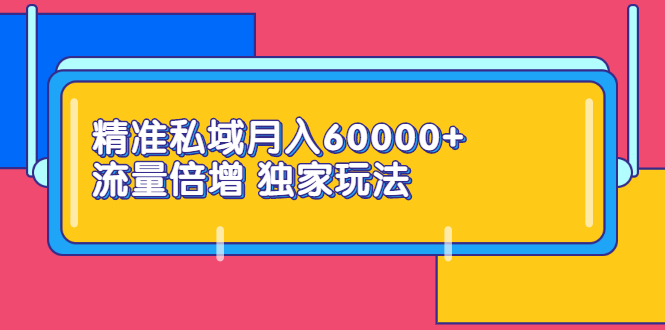 精准私域月入60000+ 流量倍增 独家玩法（9节视频课）-56课堂