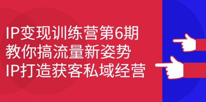 IP变现训练营第6期：教你搞流量新姿势，IP打造获客私域经营-56课堂