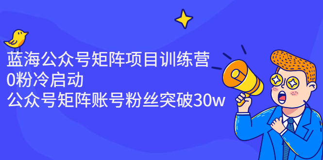 蓝海公众号矩阵项目训练营，0粉冷启动，公众号矩阵账号粉丝突破30w-56课堂