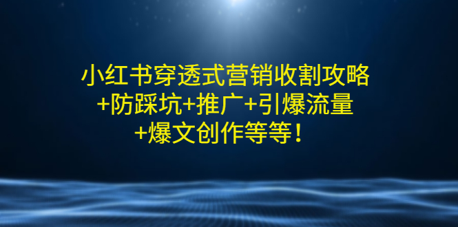 小红书穿透式营销收割攻略+防踩坑+推广+引爆流量+爆文创作等等！-56课堂