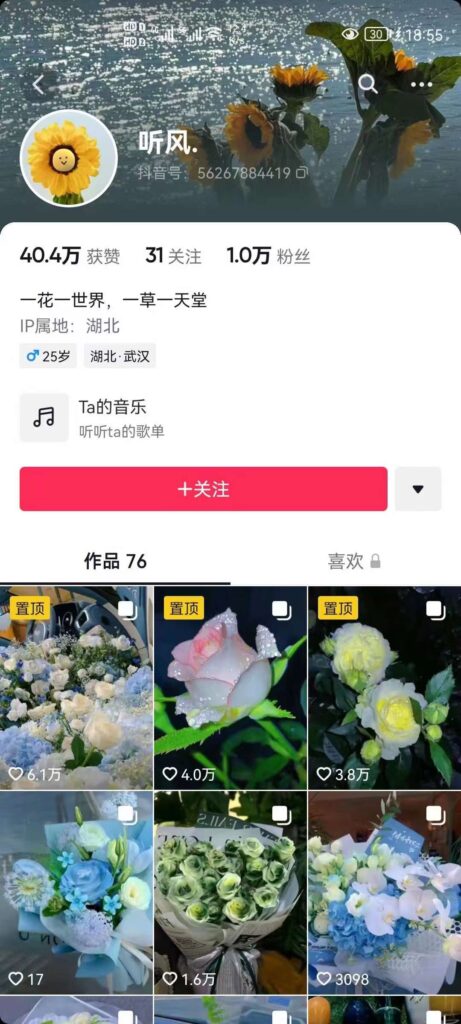 图片[3]-抖音壁纸变现项目：实战日入380+发布壁纸素材获取收益！-56课堂