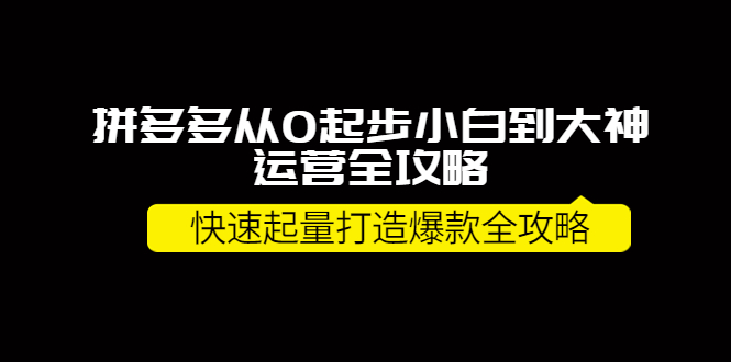 拼多多从0起步小白到大神运营全攻略，快速起量打造10W+爆款全攻略！-56课堂