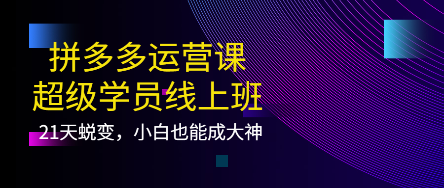 拼多多运营课：超级学员线上班，21天蜕变，小白也能成大神-56课堂