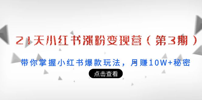 21天小红书涨粉变现营（第3期）：带你掌握小红书爆款玩法，月赚10W+秘密-56课堂