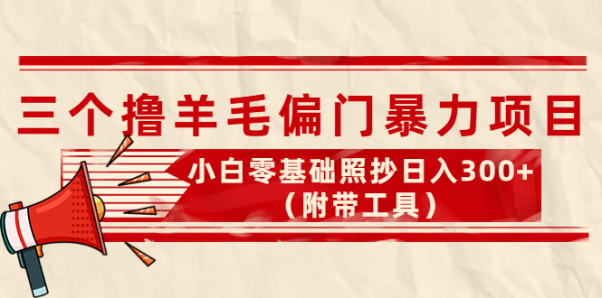 外面卖998的三个撸羊毛偏门暴力项目，小白零基础照抄日入300+（附带工具）-56课堂