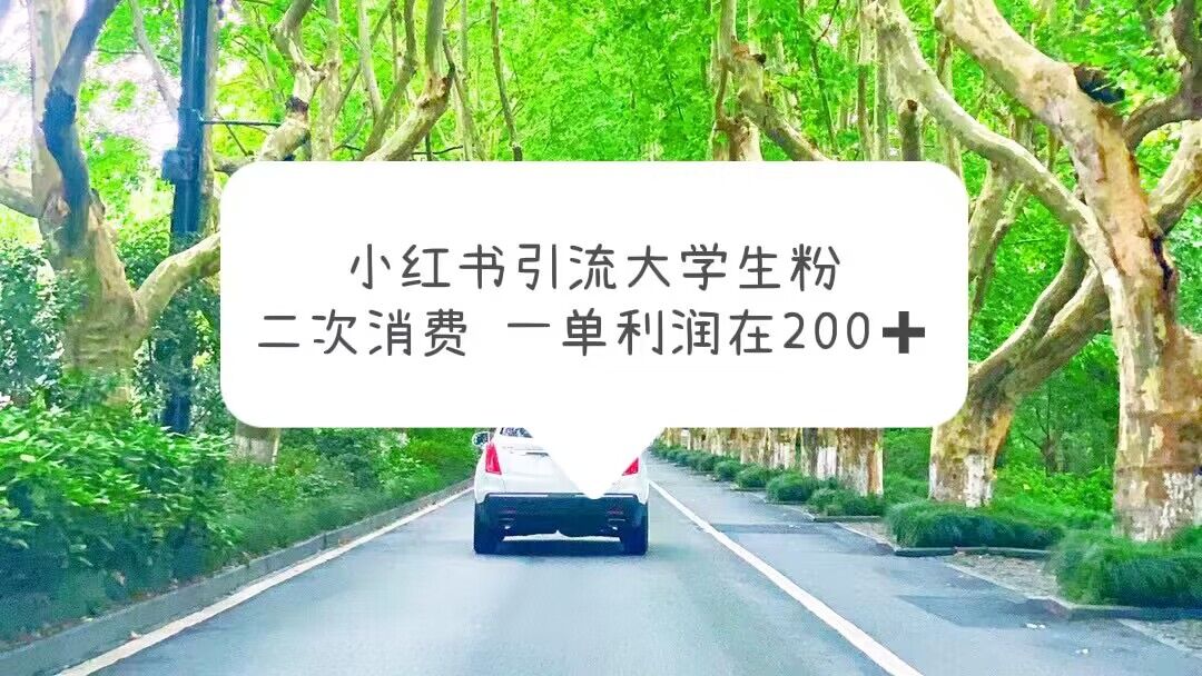 小红书引流大学生粉，变现项目，一单利润在200+（教程+资源）-56课堂