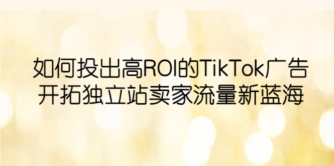 如何投出高ROI·TikTok广告，开拓独立站卖家流量新蓝海-56课堂