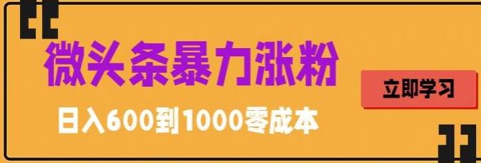 微头条暴力涨粉技巧搬运文案就能涨几万粉丝，简单0成本，日赚600-56课堂