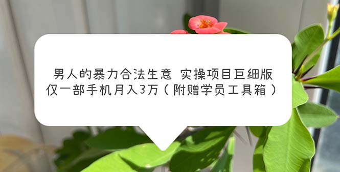 男人的暴力合法生意实操项目巨细版：仅一部手机月入3w（附赠学员工具箱）-56课堂