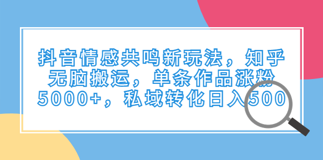 抖音情感共鸣新玩法，知乎无脑搬运，单条作品涨粉5000+，私域转化日入500-56课堂