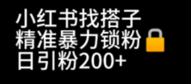 小红书找搭子暴力精准锁粉+引流日引200+精准粉-56课堂