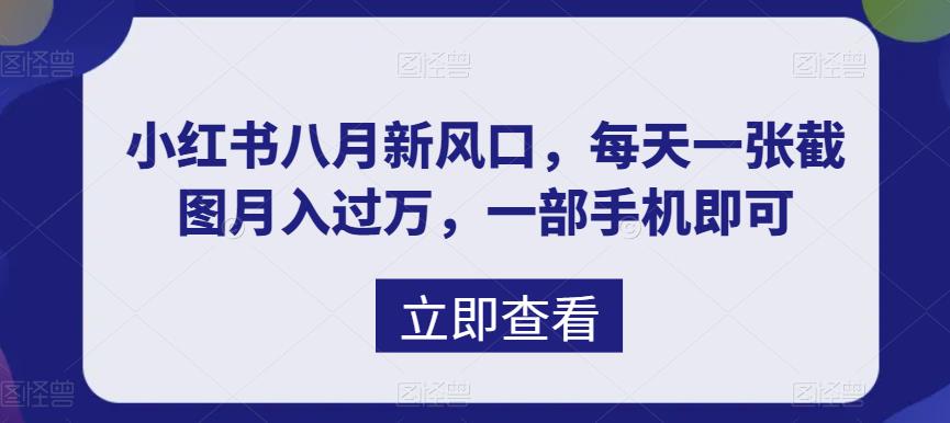 八月新风口，小红书虚拟项目一天收入1000+，实战揭秘-56课堂