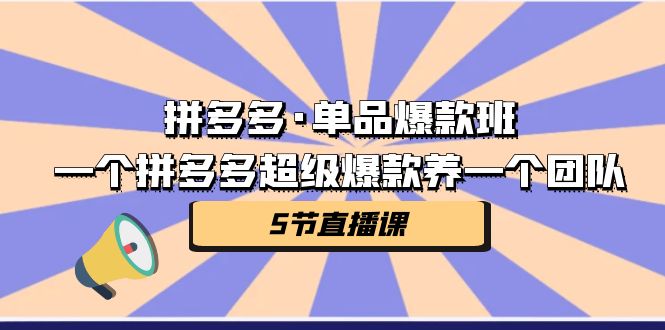 拼多多·单品爆款班，一个拼多多超级爆款养一个团队（5节直播课）-56课堂