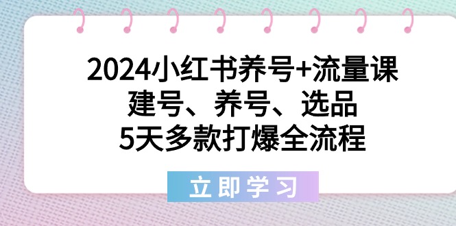 2024小红书养号+流量课：建号、养号、选品，5天多款打爆全流程-56课堂