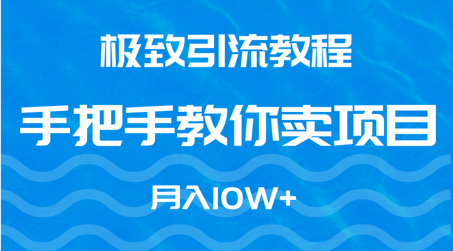 极致引流教程，手把手教你卖项目，月入10W+-56课堂