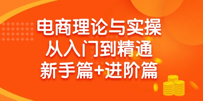 电商理论与实操从入门到精通：抖店+淘系+多多，新手篇+进阶篇-56课堂