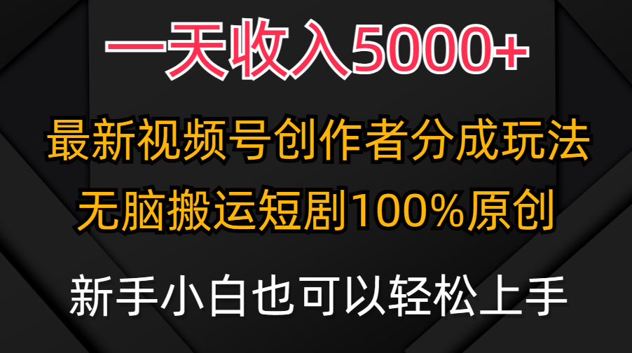 一天收入5000+，视频号创作者分成计划，最新100%原创玩法，小白也可以轻…-56课堂