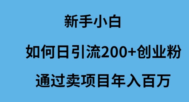 新手小白如何日引流200+创业粉通过卖项目年入百万-56课堂