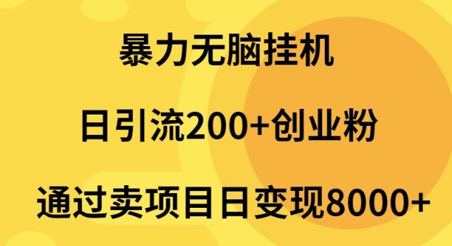 暴力无脑挂机日引流200+创业粉通过卖项目日变现2000+-56课堂