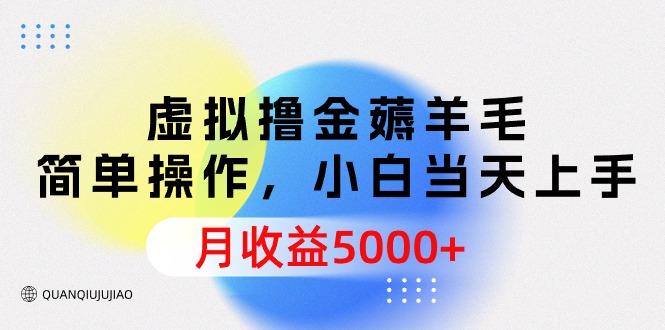 虚拟撸金薅羊毛，简单操作，小白当天上手，月收益5000+-56课堂