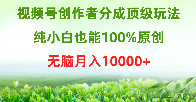 视频号创作者分成顶级玩法，纯小白也能100%原创，无脑月入10000+-56课堂