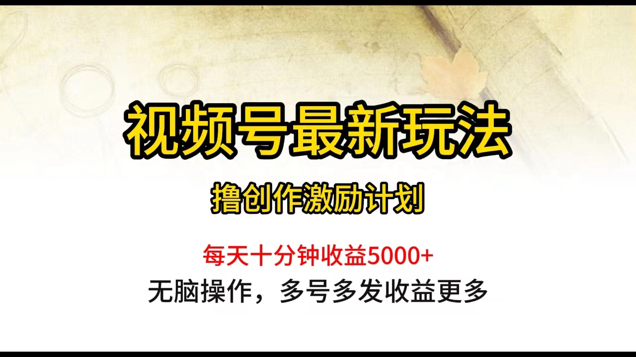 视频号最新玩法，每日一小时月入5000+-56课堂