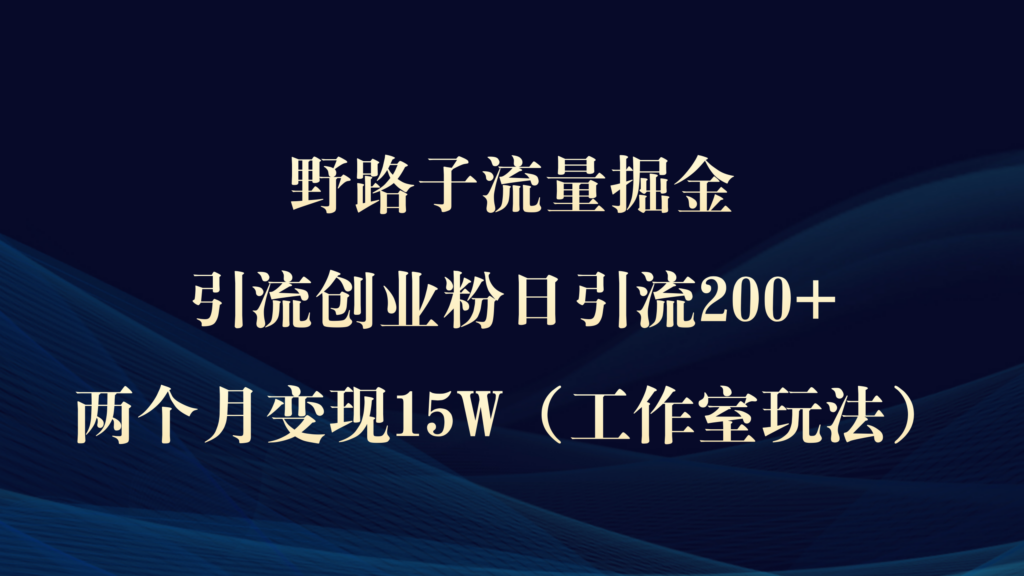 图片[1]-野路子流量掘金，引流创业粉日引流200+，两个月变现15W（工作室玩法））-56课堂