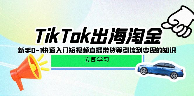 TikTok-出海淘金，新手0-1快速入门短视频直播带货等引流到变现的知识-56课堂