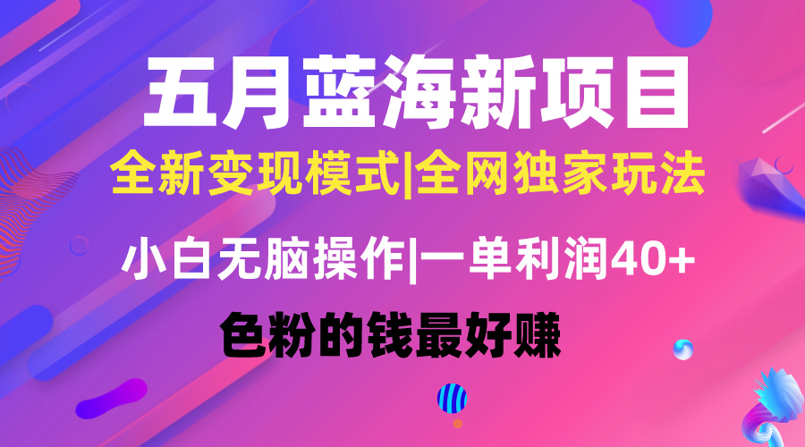 五月蓝海项目全新玩法，小白无脑操作，一天几分钟，矩阵操作，月入4万+-56课堂