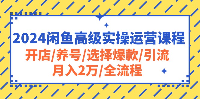 2024闲鱼高级实操运营课程：开店/养号/选择爆款/引流/月入2万/全流程-56课堂