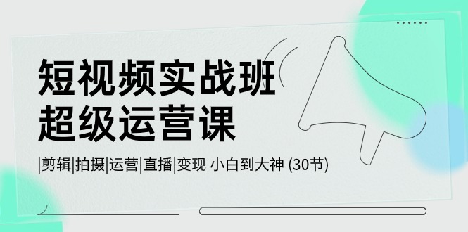 短视频实战班-超级运营课，|剪辑|拍摄|运营|直播|变现 小白到大神 (30节)-56课堂