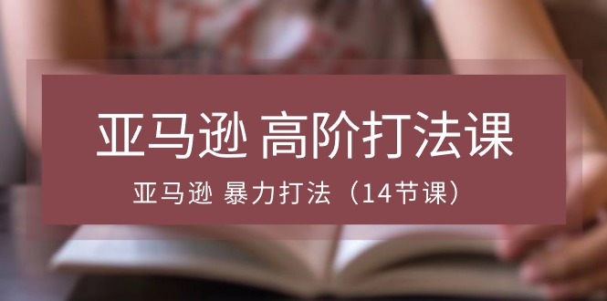 亚马逊 高阶打法课，亚马逊 暴力打法（14节课）-56课堂