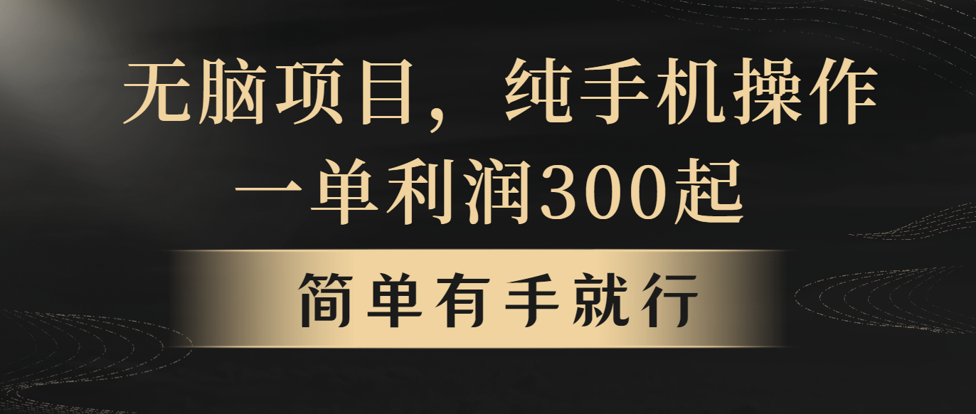 无脑项目，一单几百块，轻松月入5w+，看完就能直接操作-56课堂