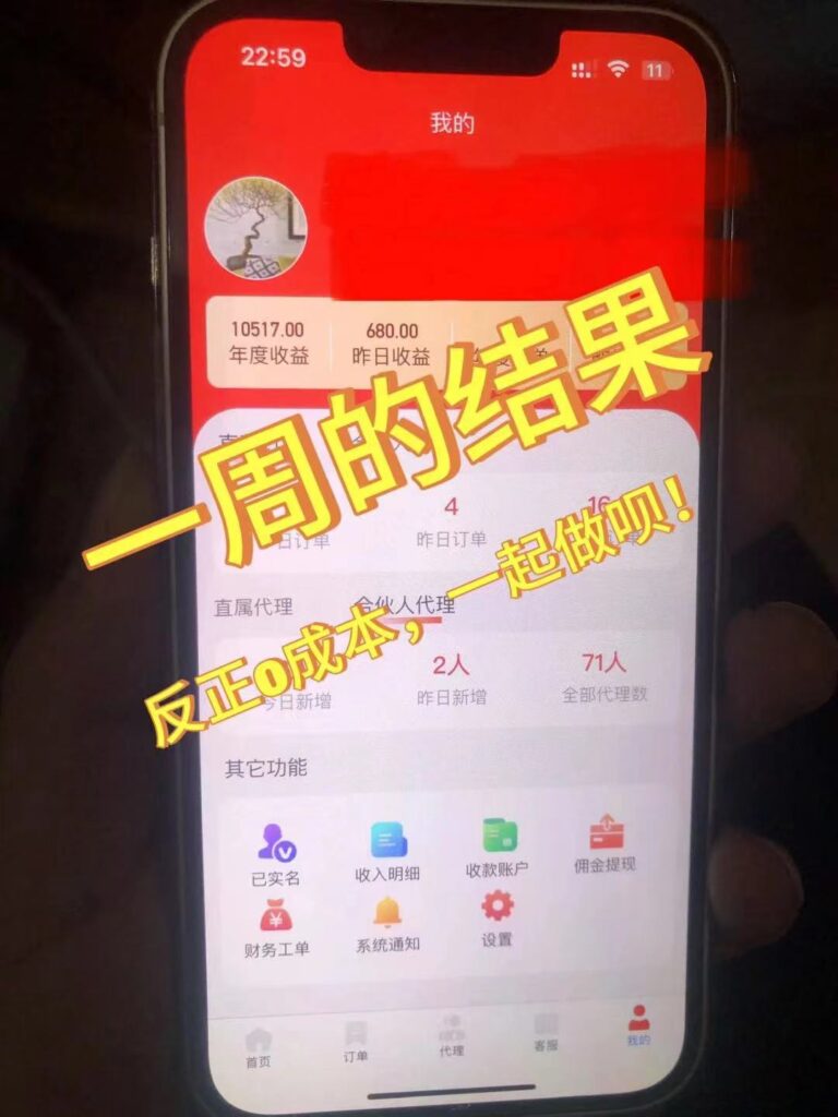 图片[3]-流量卡代理掘金，日躺赚3000+，首码平台变现更暴力，多种推广途径，新…-56课堂