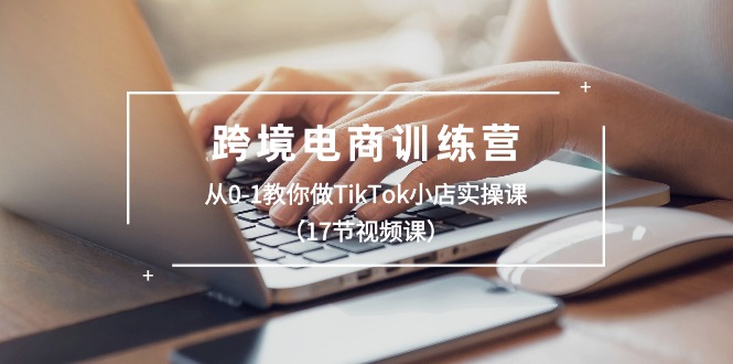 跨境电商训练营：从0-1教你做TikTok小店实操课（17节视频课）-56课堂