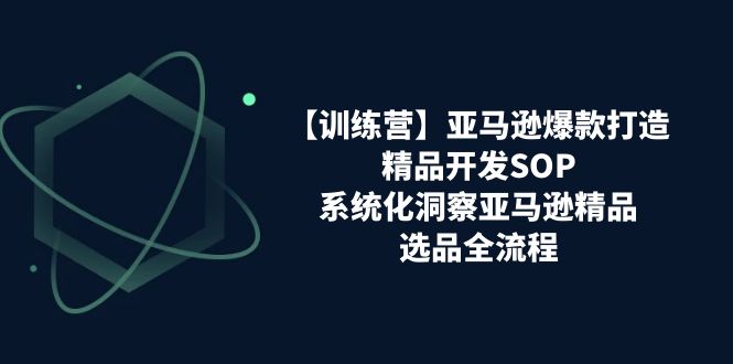 【训练营】亚马逊爆款打造之精品开发SOP，系统化洞察亚马逊精品选品全流程-56课堂