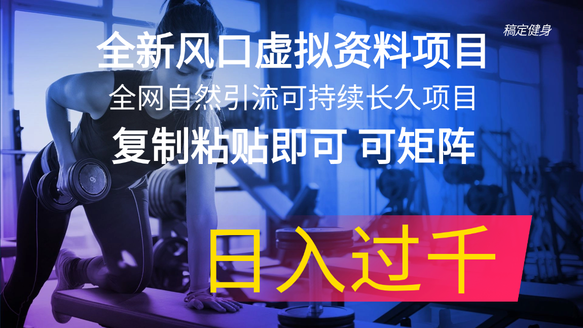 全新风口虚拟资料项目 全网自然引流可持续长久项目 复制粘贴即可可矩阵...-56课堂