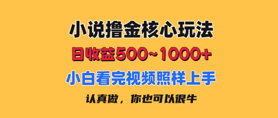 小说撸金核心玩法，日收益500-1000+，小白看完照样上手，0成本有手就行-56课堂